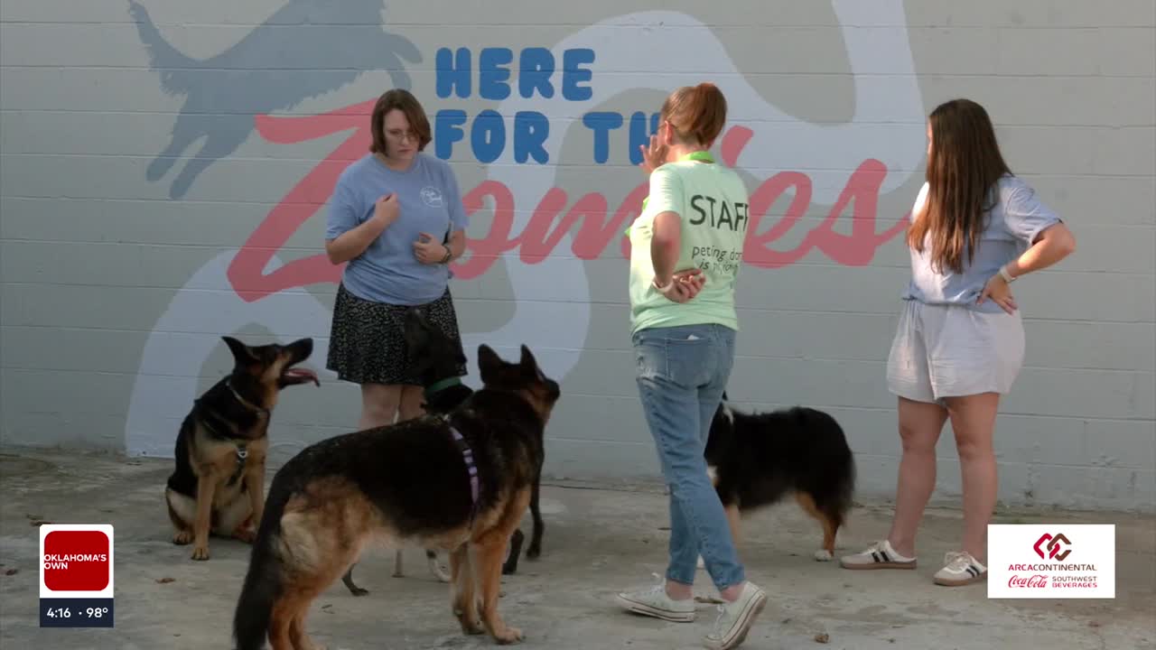 What to know about Tulsa's Fetch Social Club